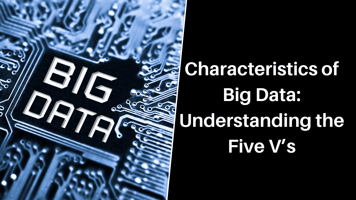 Characteristics of Big Data: Understanding the Five V’s